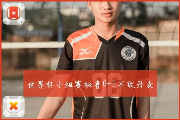 世界杯小组赛秘鲁0-1不敌丹麦