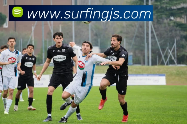 多媒体互动体验